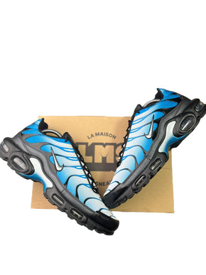 Nike Air Max Plus Tn ( Gradient Blue ) taille 46